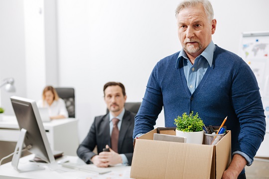 Employment Lawyer in Guelph